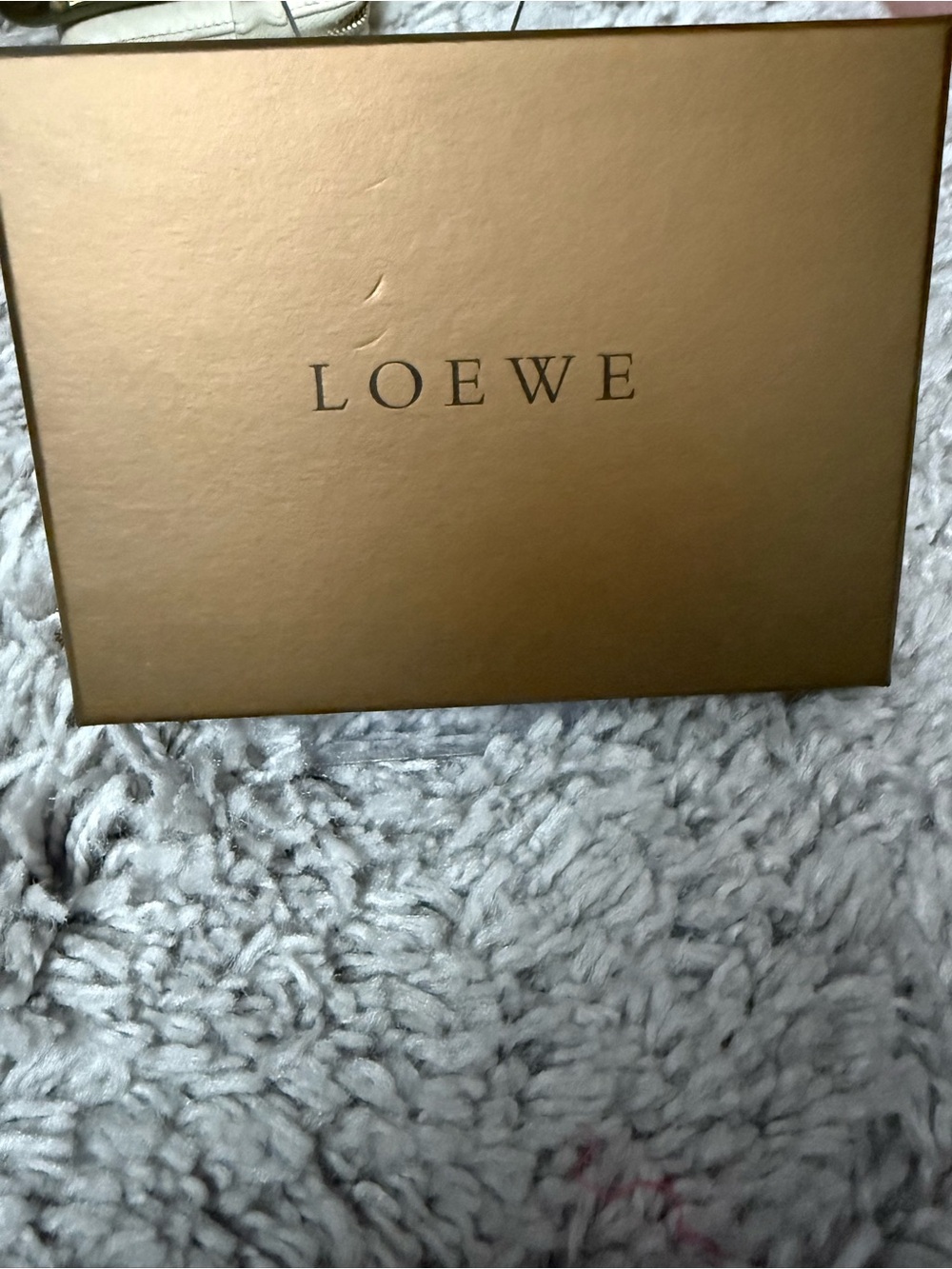 LOEWE Black Half-Moon Mini Pouch with Green D-Ring Accent - Picture 3 of 5